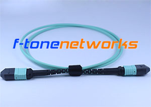 MTP, OM4, 8Core Fiber Patch Cord